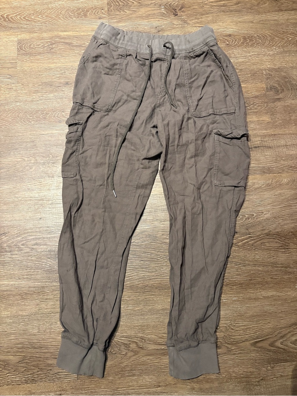 Aritzia Community cargo joggers